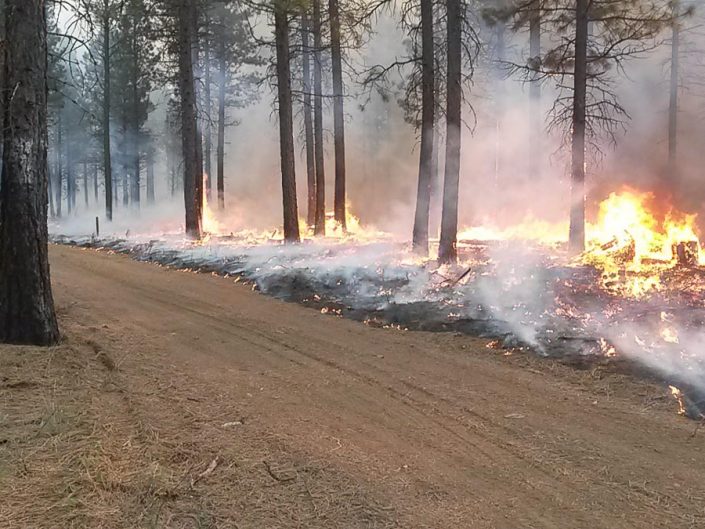 healthy forest prescribed fire deschutes