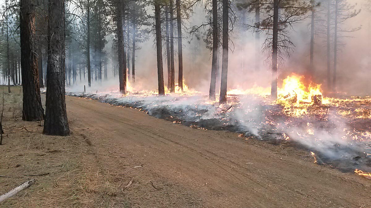 Roads and other natural boundaries are used to contain prescribed fires to a specific area and keep communities and firefighters safe from a fire getting out of control.
