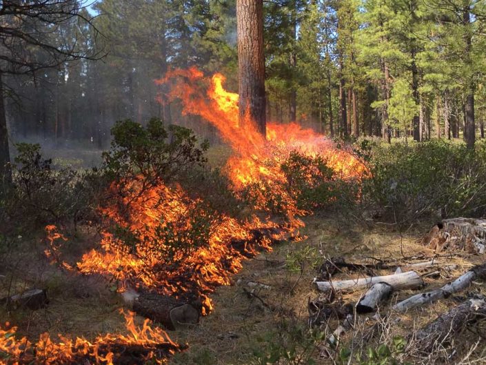 prescribed fire in the deschutes national forest