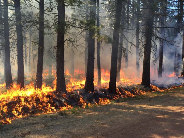 prescribed fire in the deschutes national forest