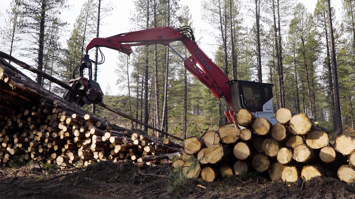 logging forest restoration deschutes national forest