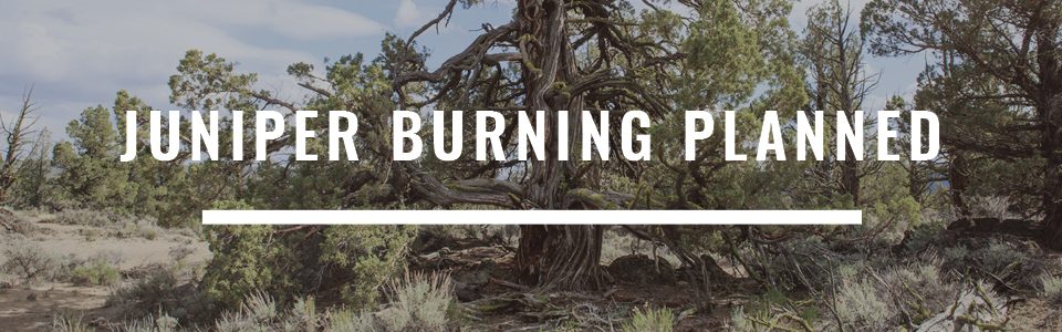 juniper prescribed burning planned central oregon
